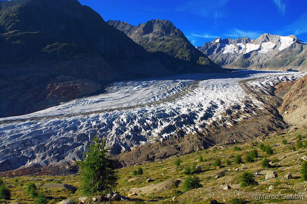 Switzerland - Alps_1.JPG - Aletch Glacier