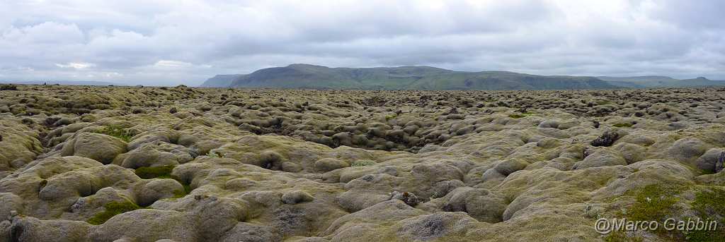 DSC_0496_1.jpg - Lava field covered in green moss, South Iceland
