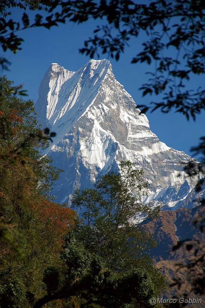 DSC_0131.JPG - Annapurna Sanctuary: Machhapuchhre(6997m)
