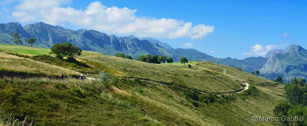 DSC_0172.JPG