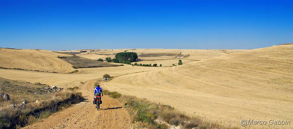 DSC_0248_1.jpg - Meseta