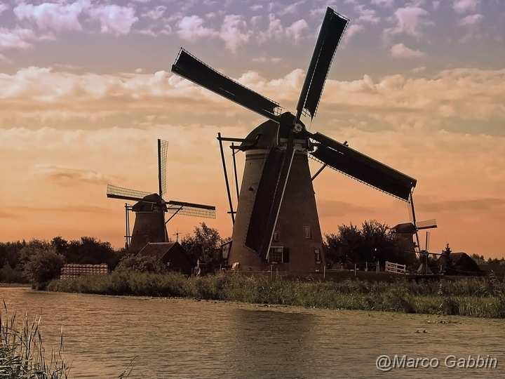 136_3657c_resize.jpg - Holland