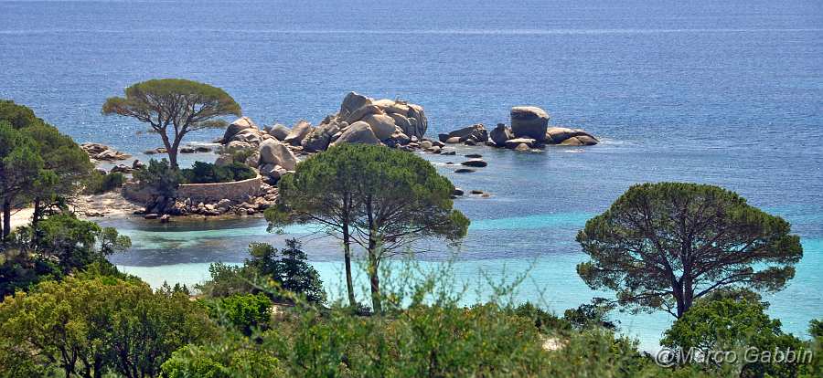 DSC_0248_1.jpg - Palombaggia