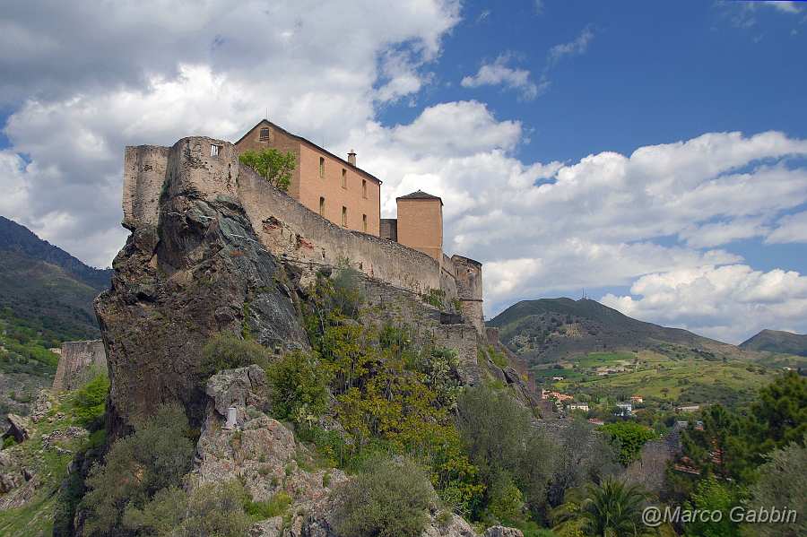 DSC_0262.JPG - Corte