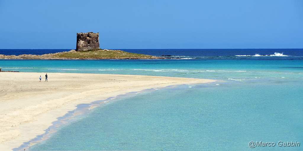 DSC_0211_1.jpg