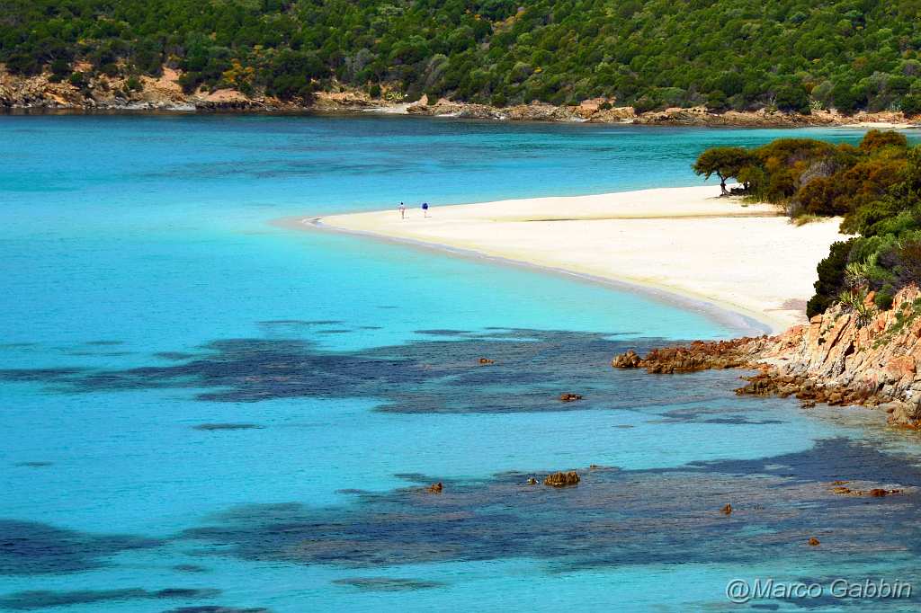 DSC_0426_2.jpg - La Tuerredda