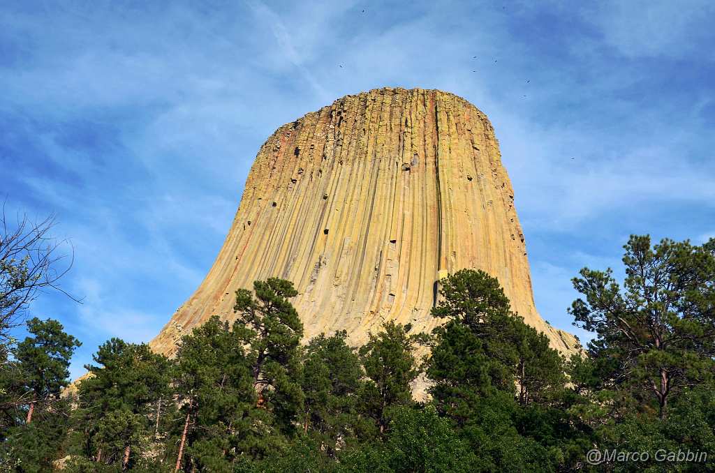 DSC_0123.JPG - Devil Tower National Park (Wyoming)