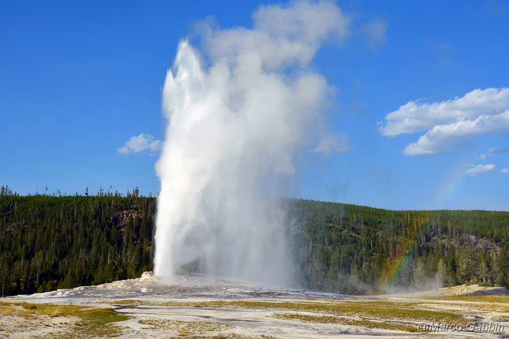 DSC_0375_1.jpg - Yellowstone National Park - Old Faithful Geyser (Wyoming)