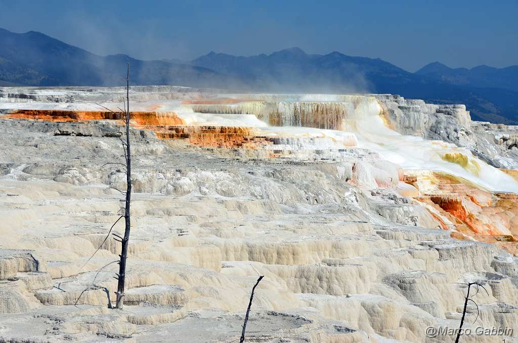 DSC_0494.JPG - Yellowstone National Park - Mammoth hot springs (Wyoming)