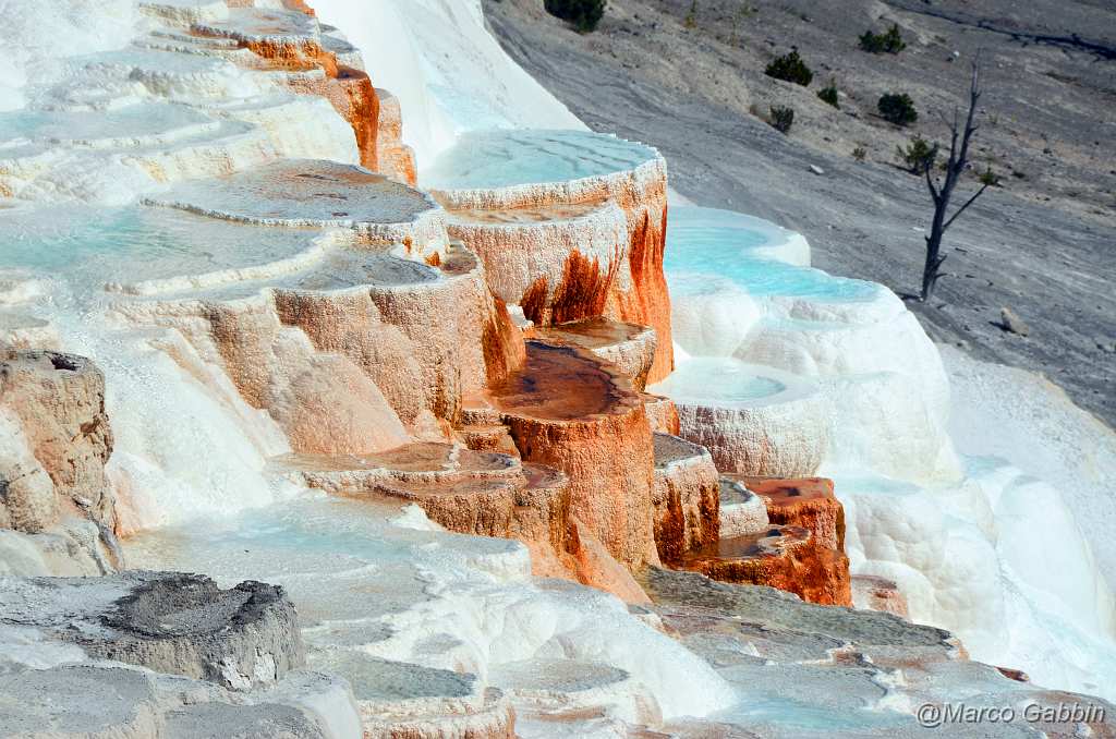 DSC_0499_1.jpg - Yellowstone National Park - Mammoth hot springs (Wyoming)